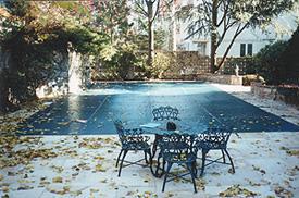 A safety cover over the pool keeps almost everything out.